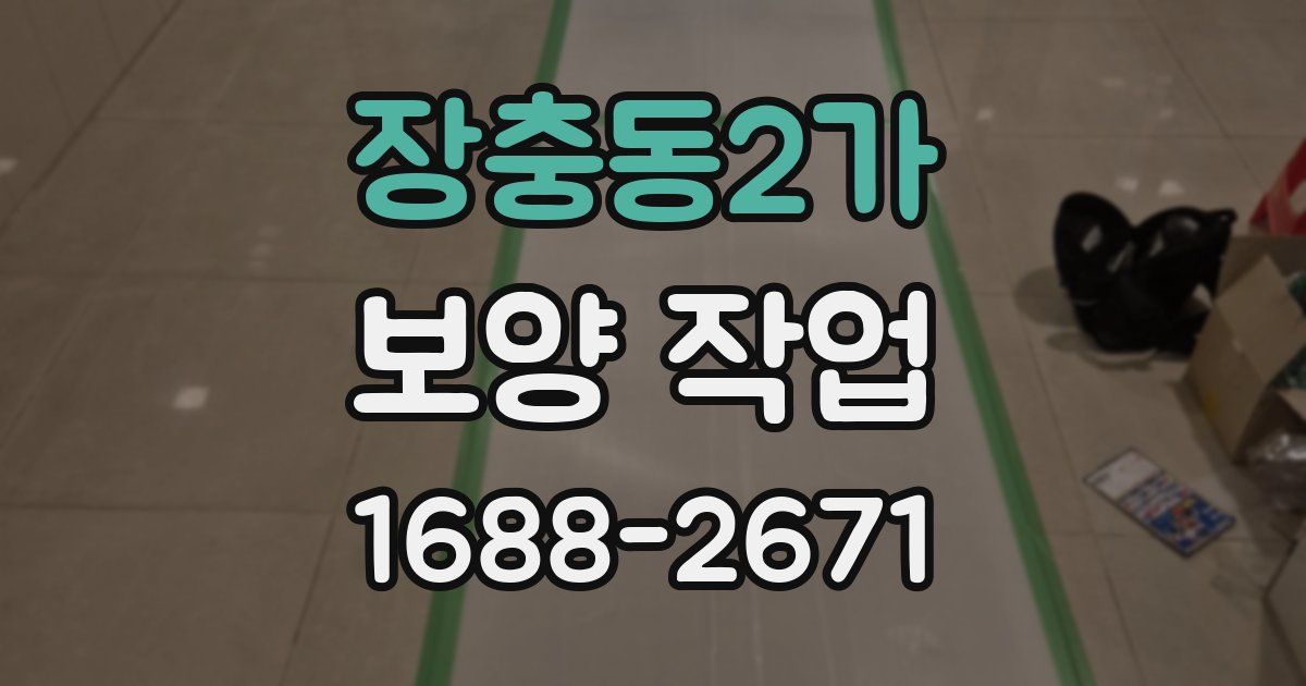 장충동2가 보양 작업