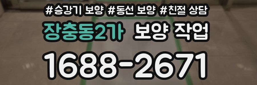 장충동2가 보양 작업