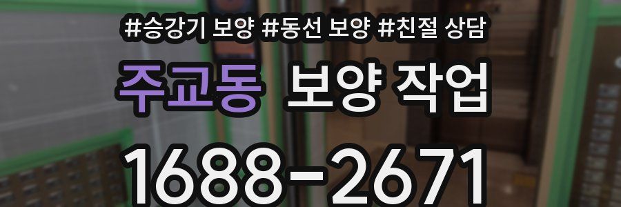 주교동 보양 작업