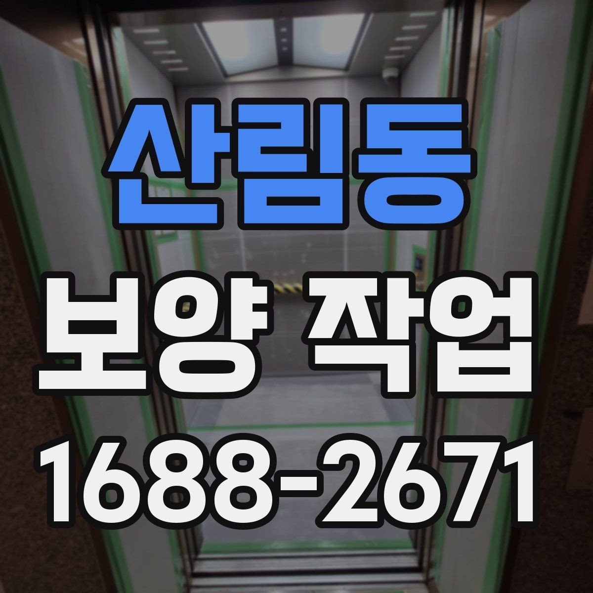 산림동 보양 작업 준비물 구매 전에 따져볼 점