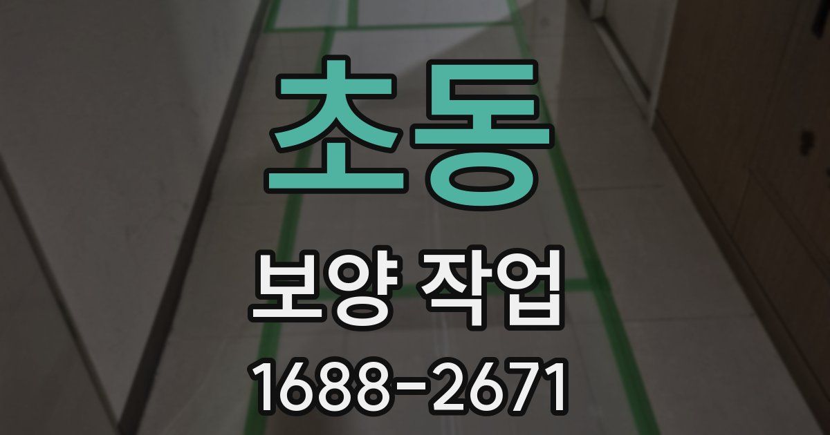 초동 보양 작업