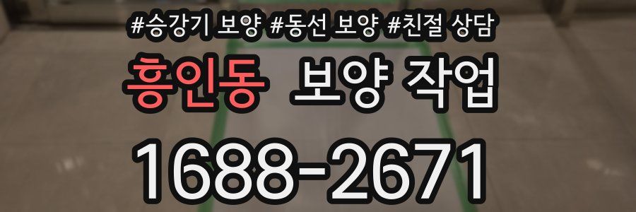 흥인동 보양 작업