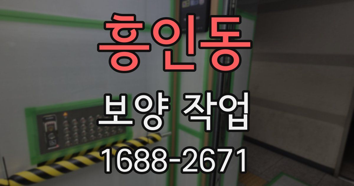 흥인동 보양 작업