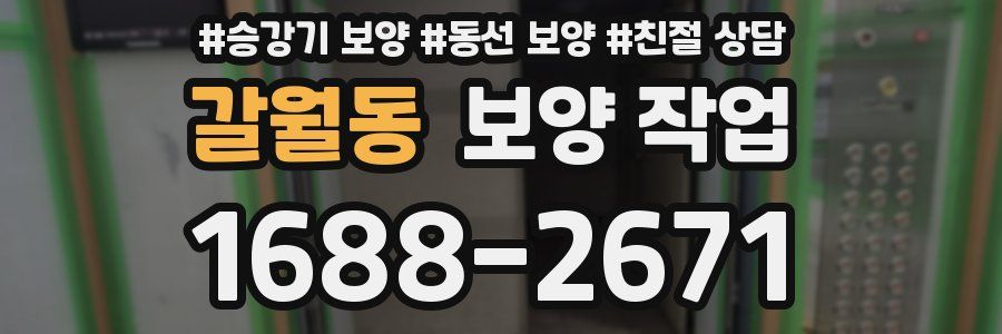 갈월동 보양 작업