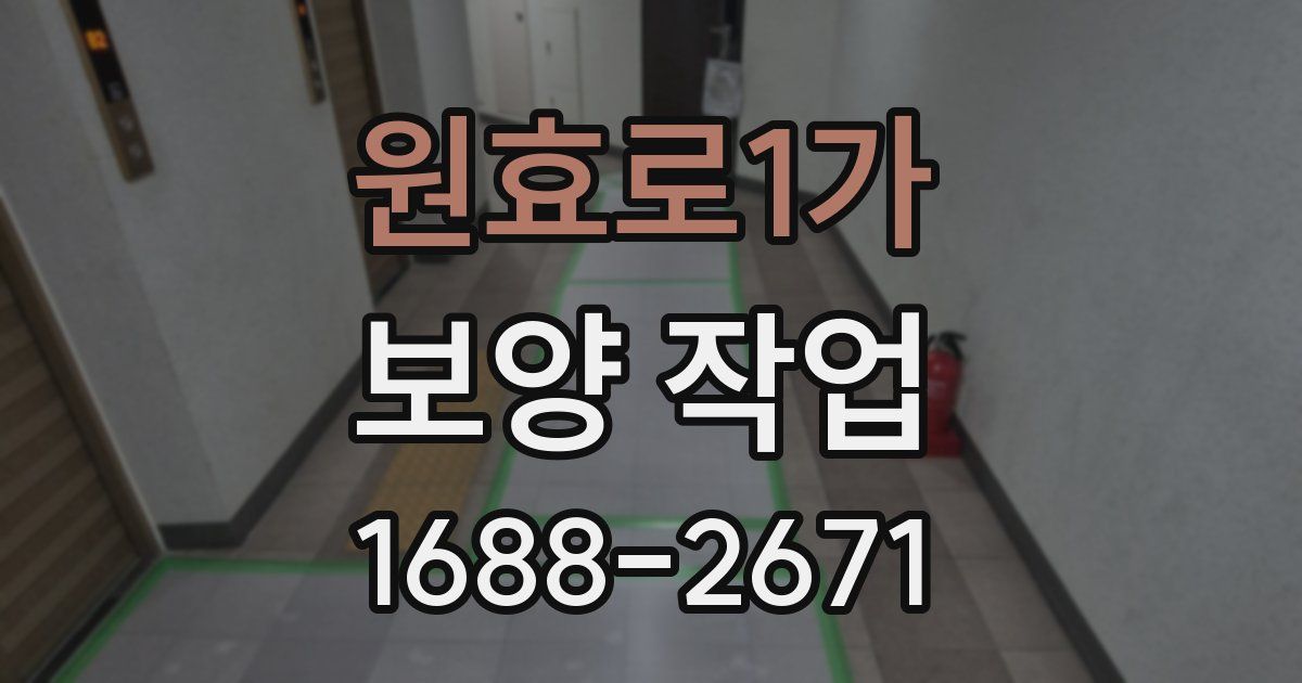 원효로1가 보양 작업