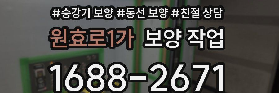 원효로1가 보양 작업