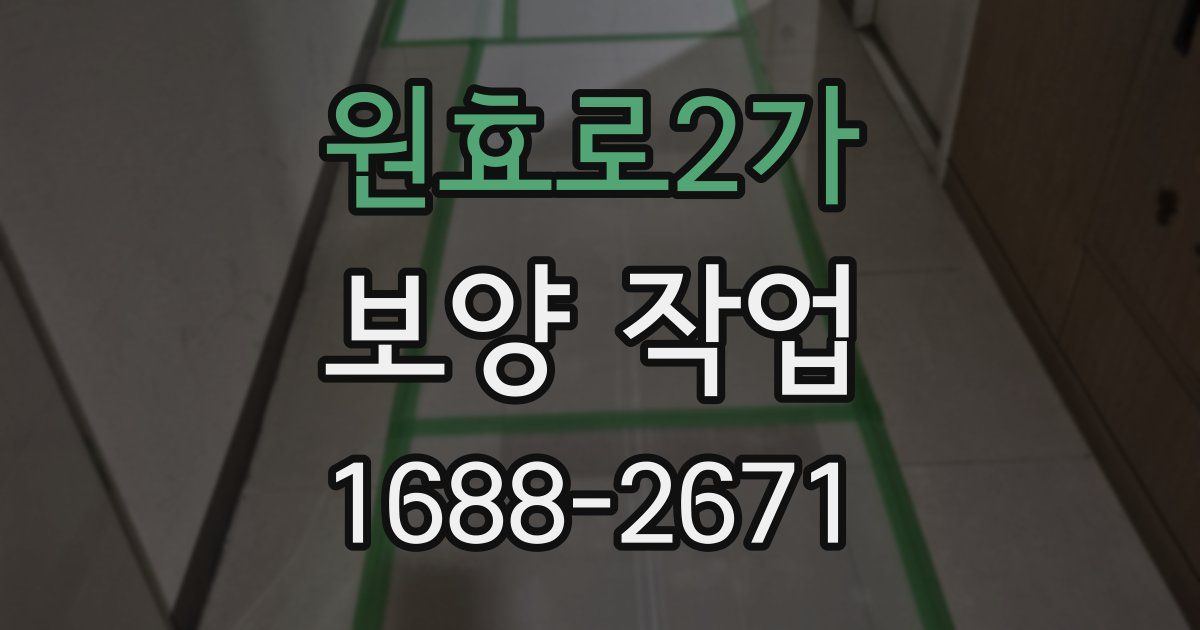 원효로2가 보양 작업