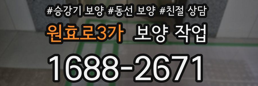 원효로3가 보양 작업