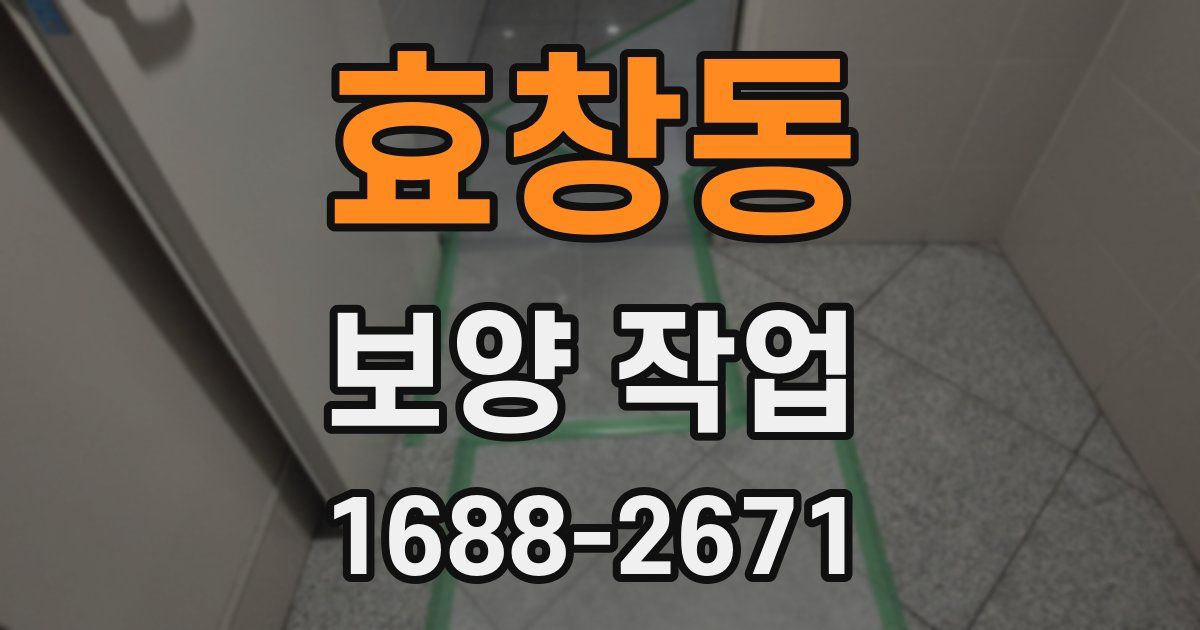 효창동 보양 작업