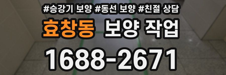 효창동 보양 작업