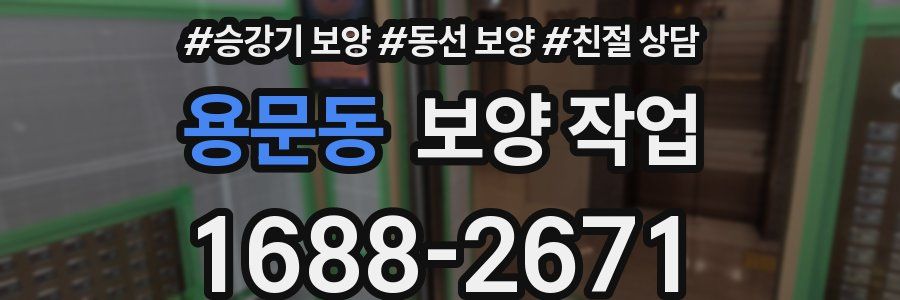 용문동 보양 작업