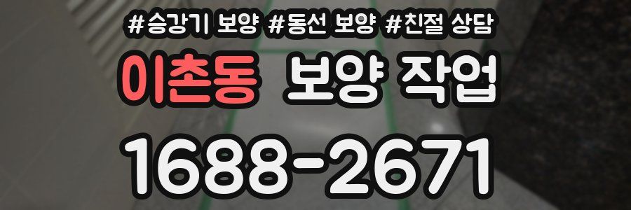 이촌동 보양 작업
