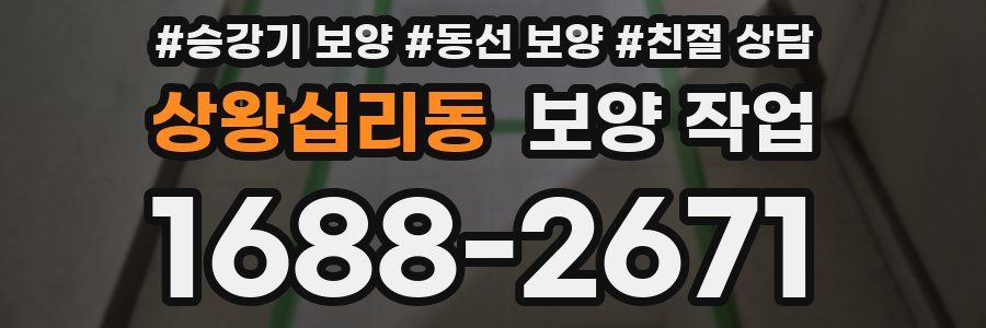 상왕십리동 보양 작업