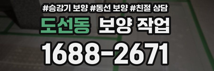 도선동 보양 작업