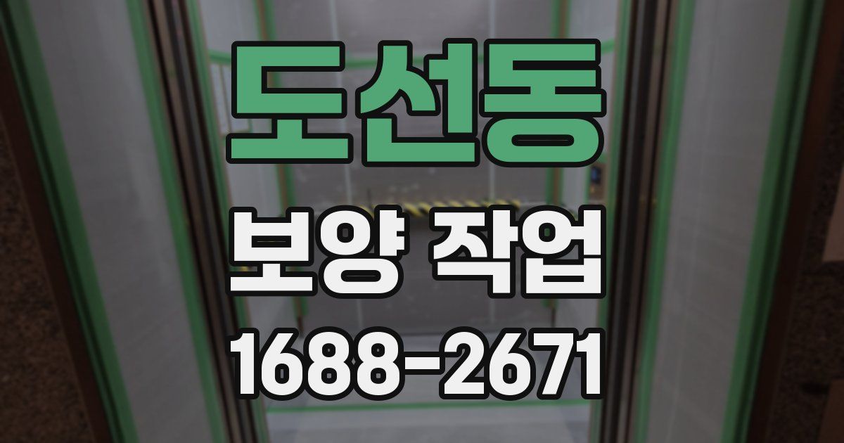 도선동 보양 작업