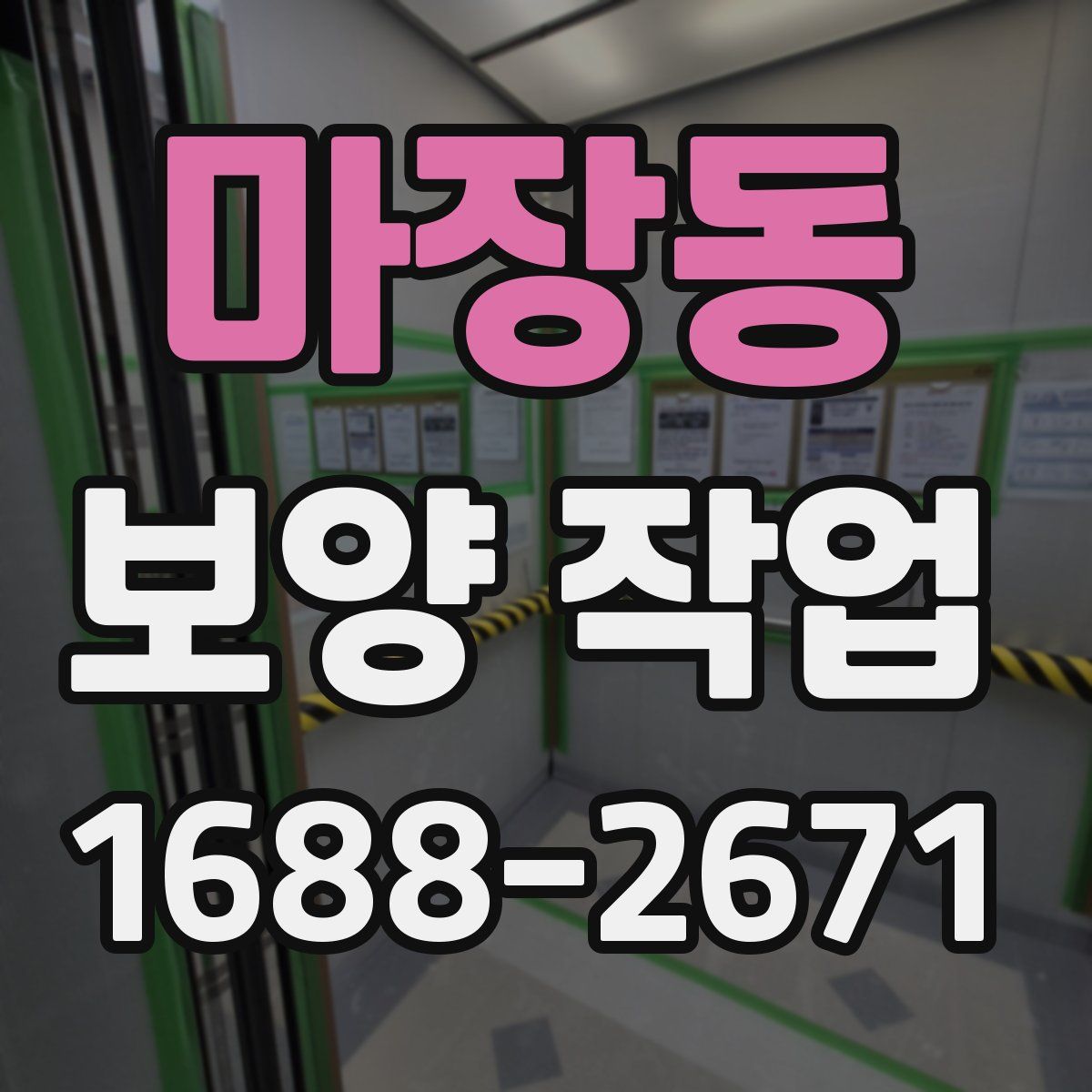 마장동 보양 작업