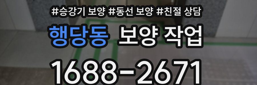 행당동 보양 작업