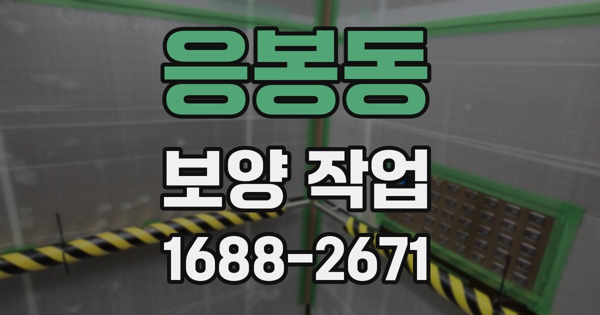 응봉동 보양 작업