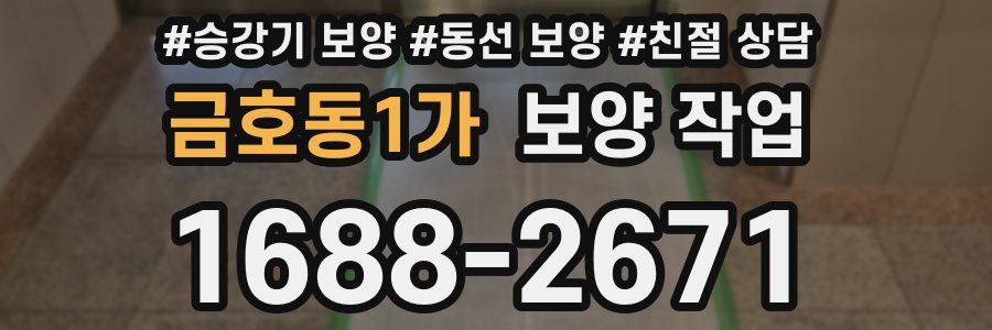 금호동1가 보양 작업