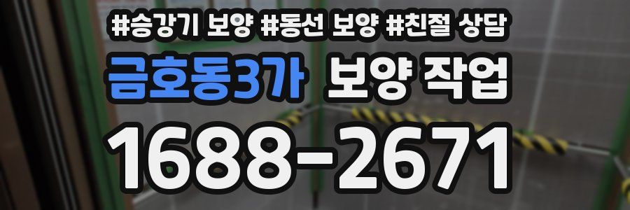 금호동3가 보양 작업