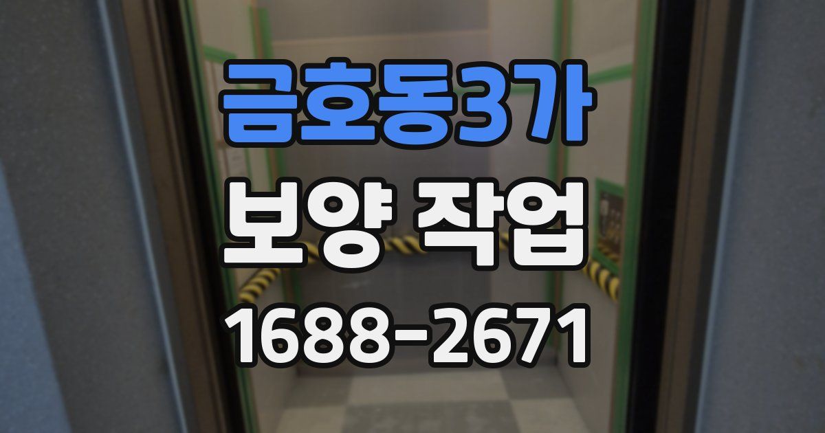 금호동3가 보양 작업
