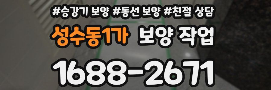 성수동1가 보양 작업