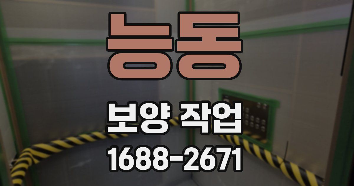 능동 보양 작업