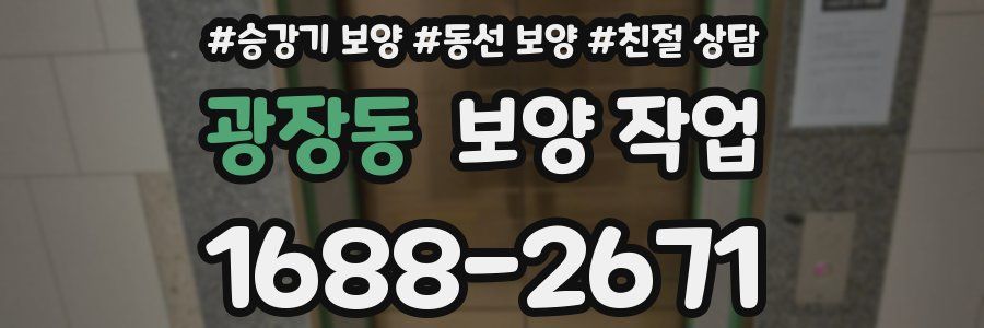 광장동 보양 작업