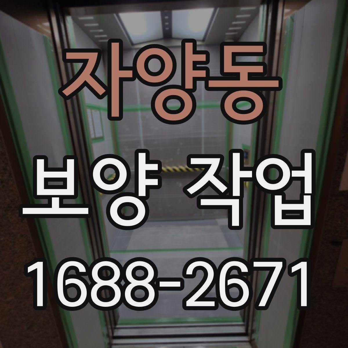 자양동 보양 작업 일정과 비용을 함께 보는 기준