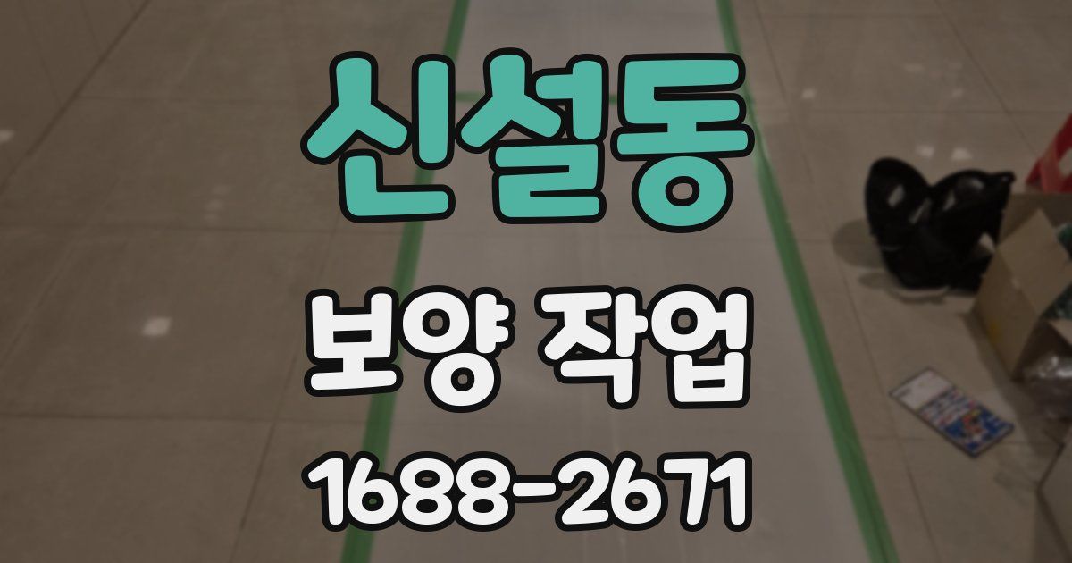 신설동 보양 작업