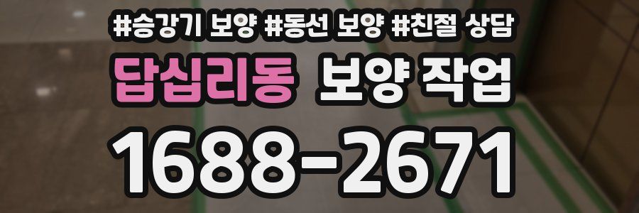 답십리동 보양 작업