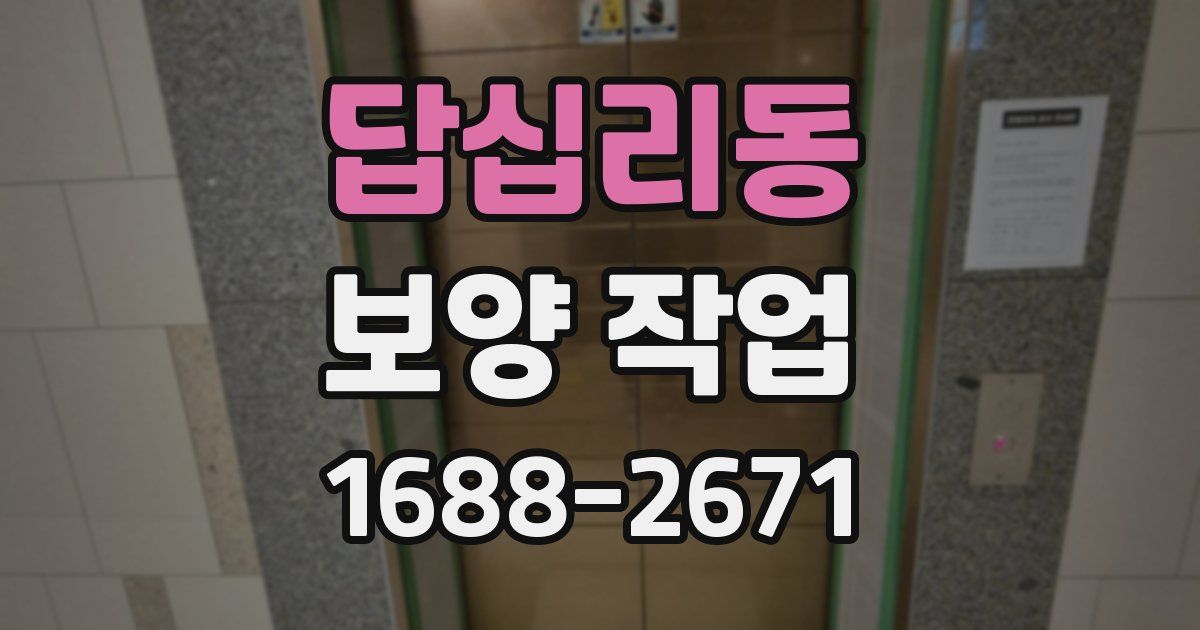 답십리동 보양 작업