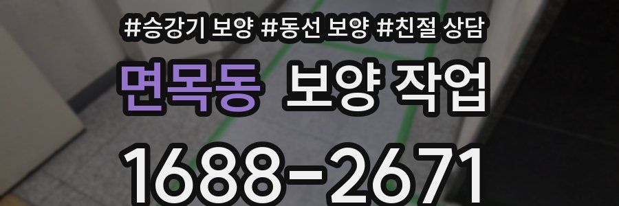 면목동 보양 작업