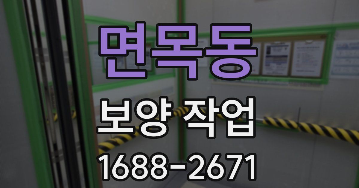 면목동 보양 작업