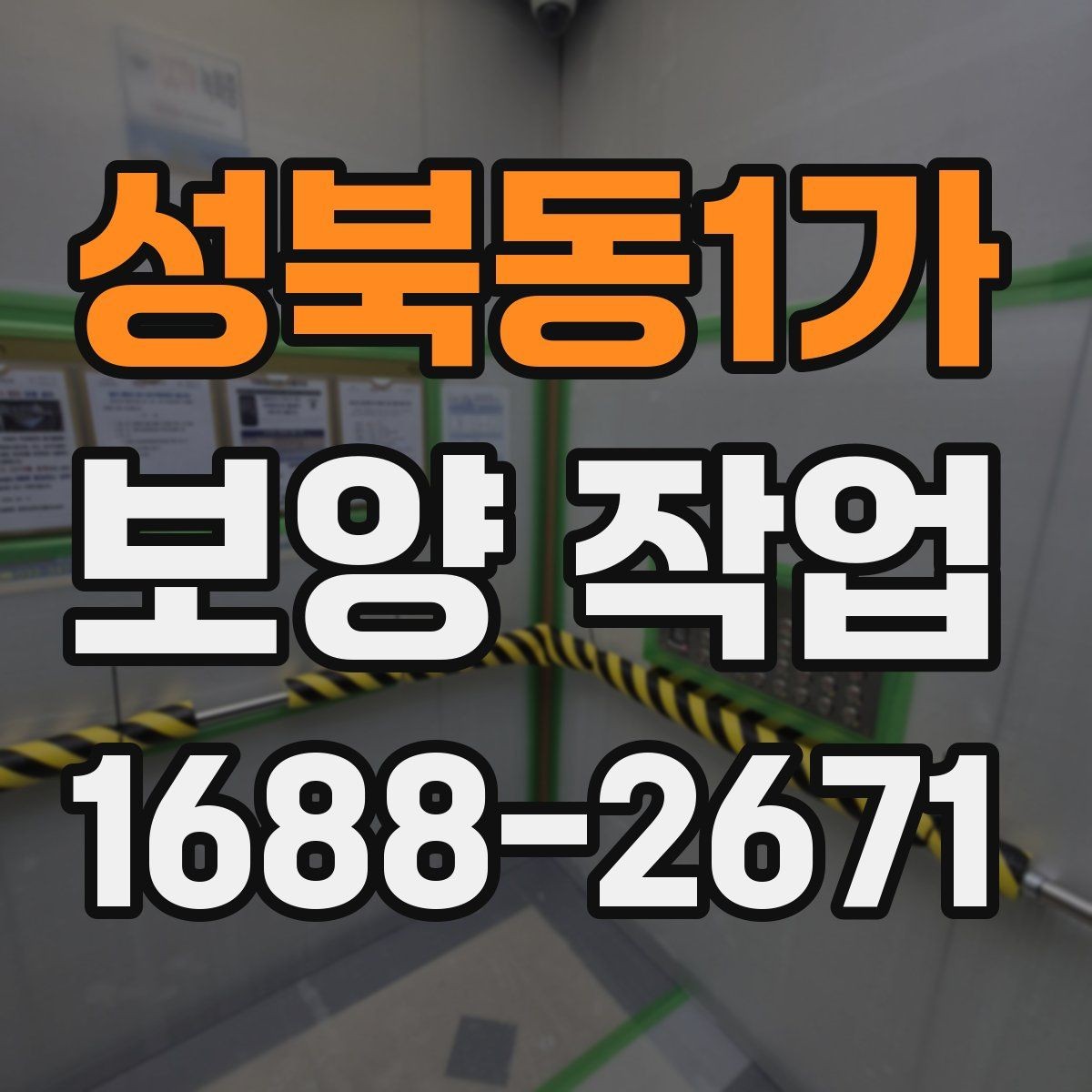 성북동1가 보양 작업 전후 비교로 보는 관리 차이