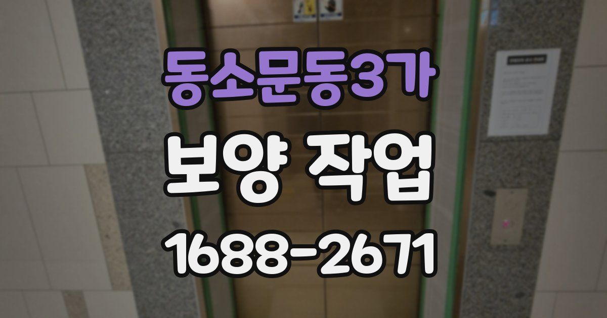 동소문동3가 보양 작업