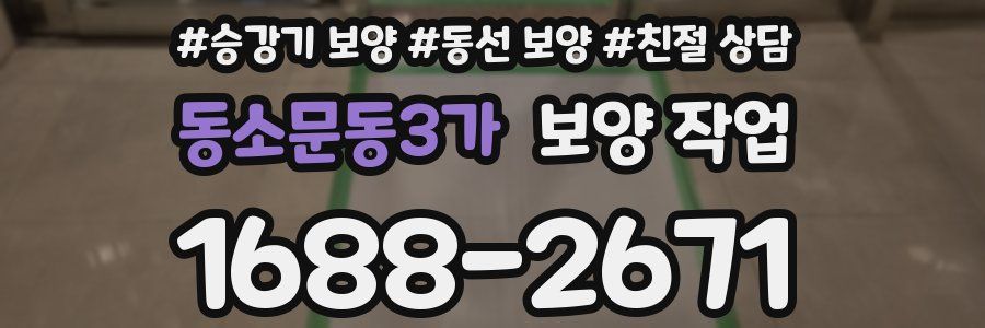 동소문동3가 보양 작업