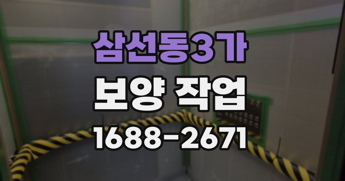 삼선동3가 보양 작업