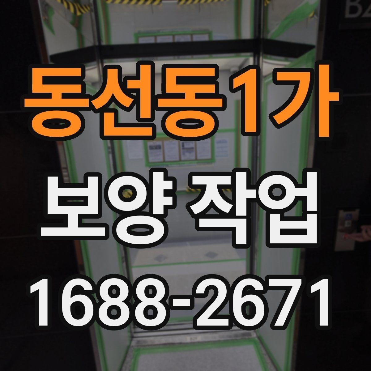 동선동1가 보양 작업 준비물 구매 전에 따져볼 점