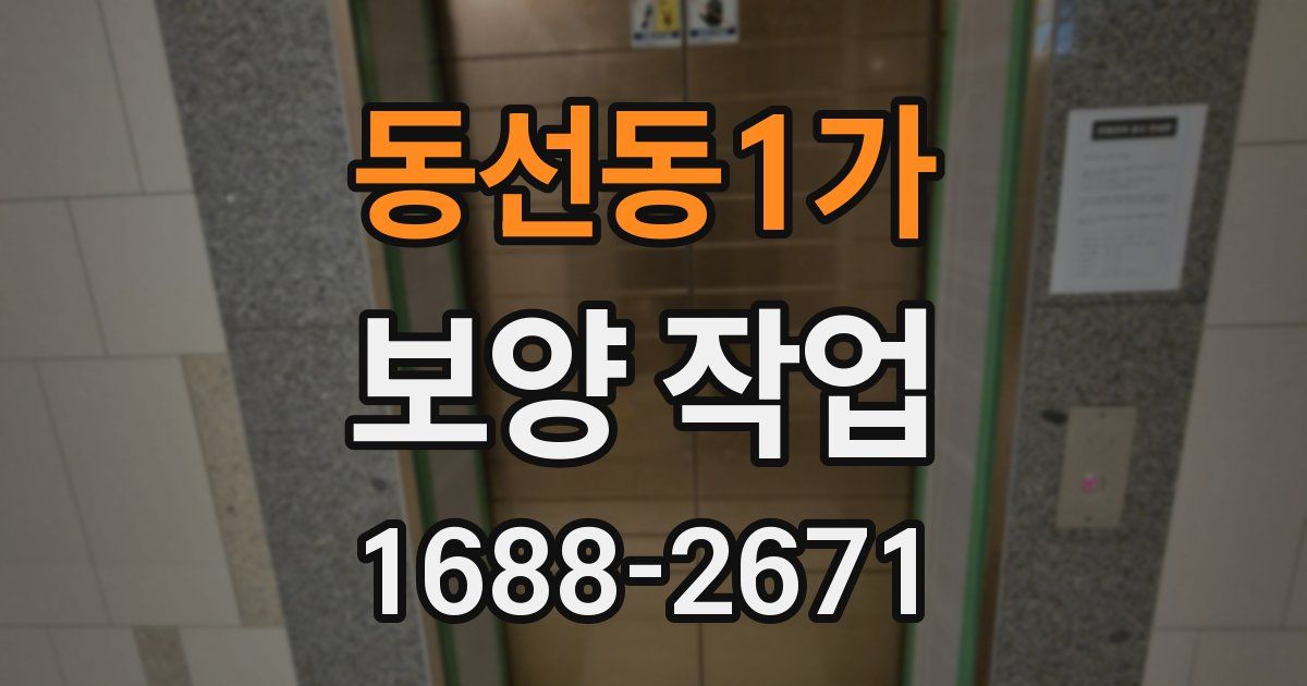 동선동1가 보양 작업