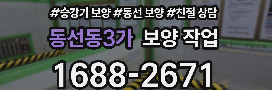 동선동3가 보양 작업