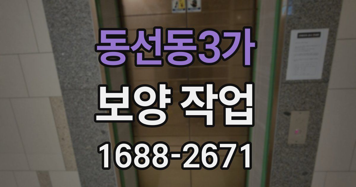 동선동3가 보양 작업