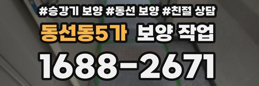 동선동5가 보양 작업