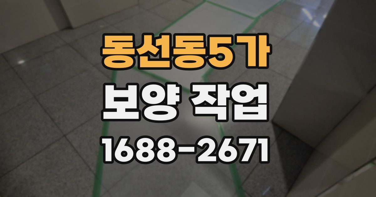 동선동5가 보양 작업