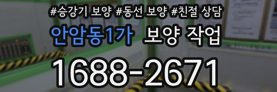 안암동1가 보양 작업