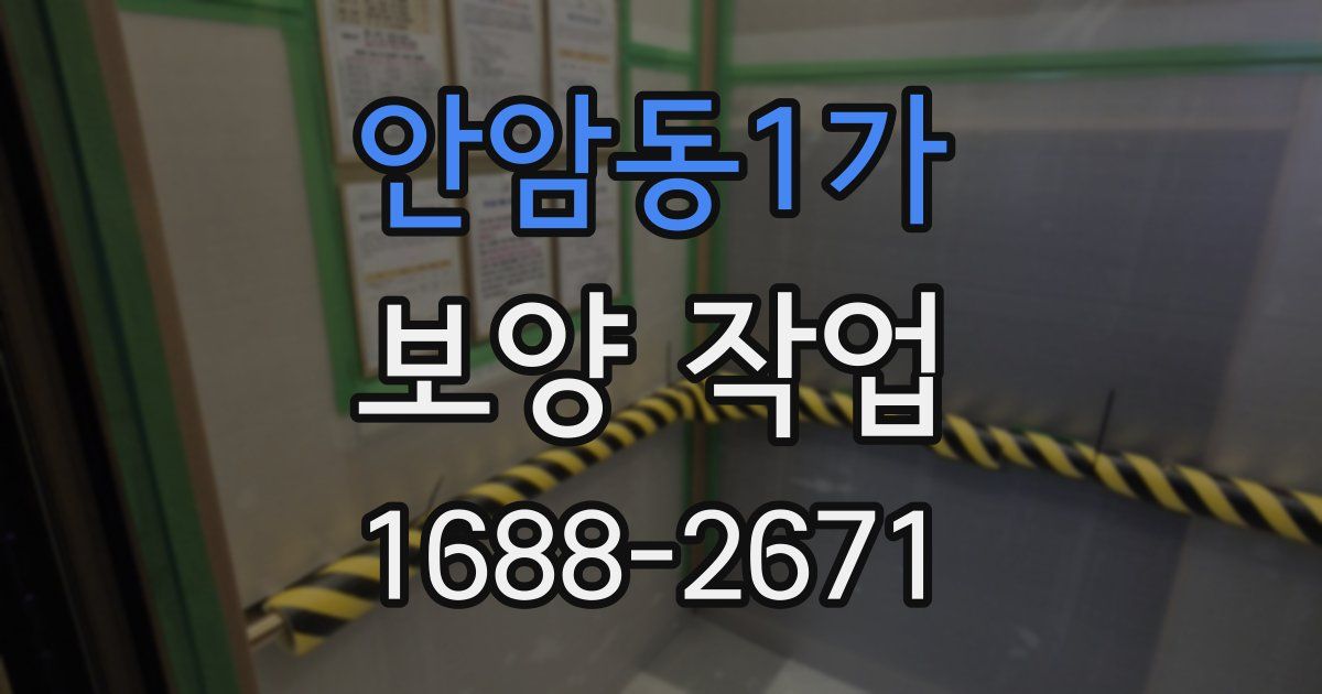 안암동1가 보양 작업