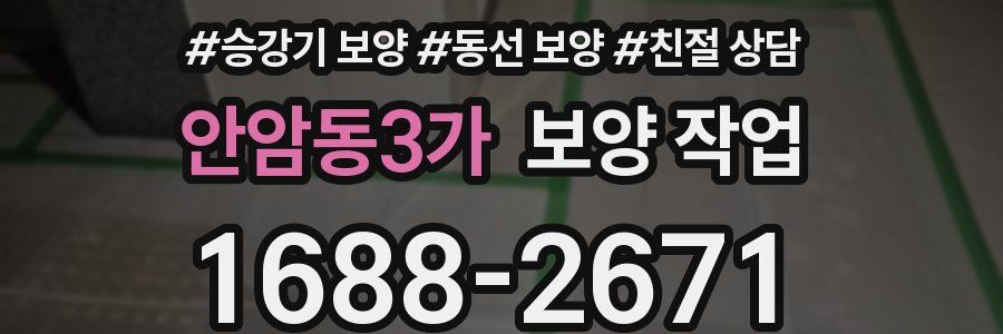 안암동3가 보양 작업
