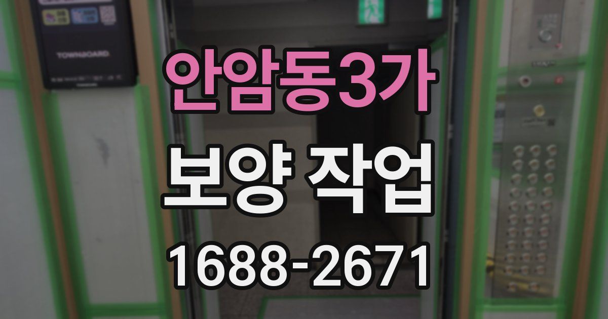 안암동3가 보양 작업