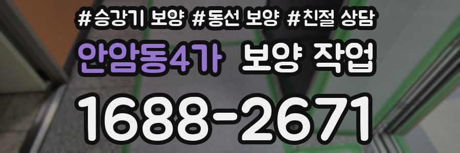 안암동4가 보양 작업
