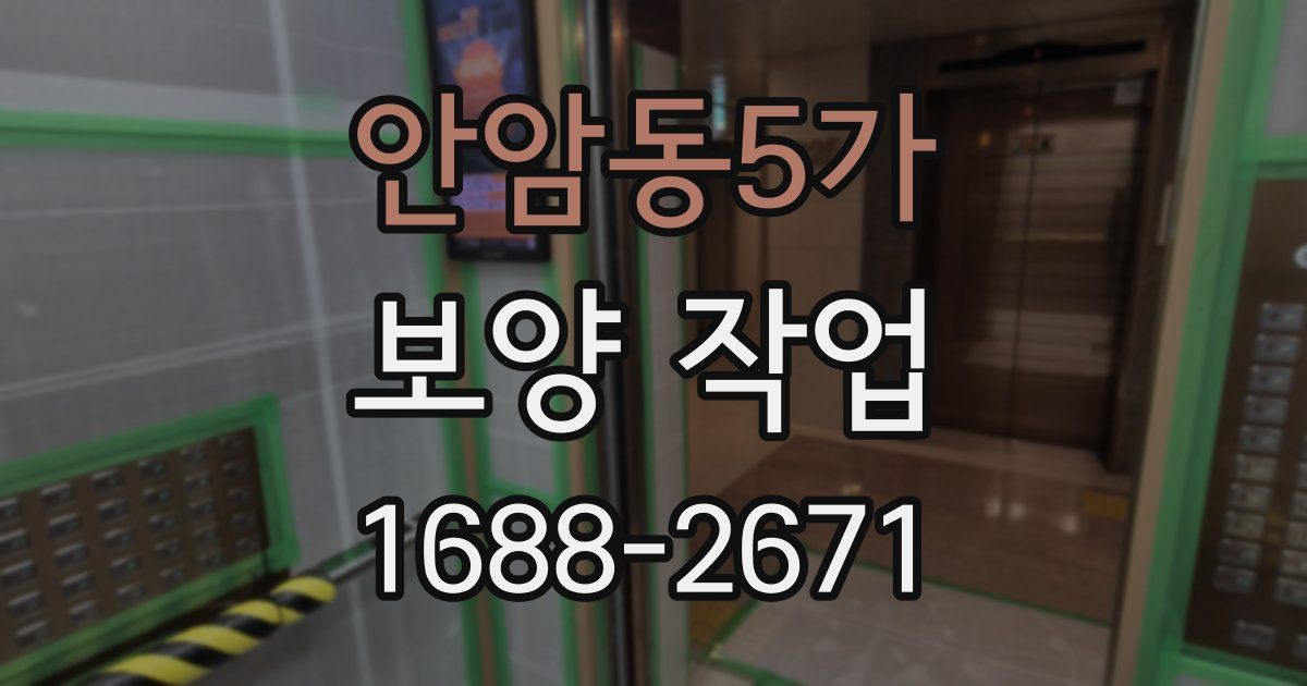 안암동5가 보양 작업